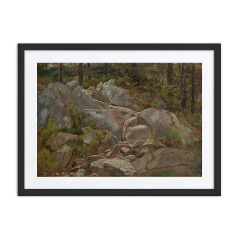 Boulder and Pine Stumps