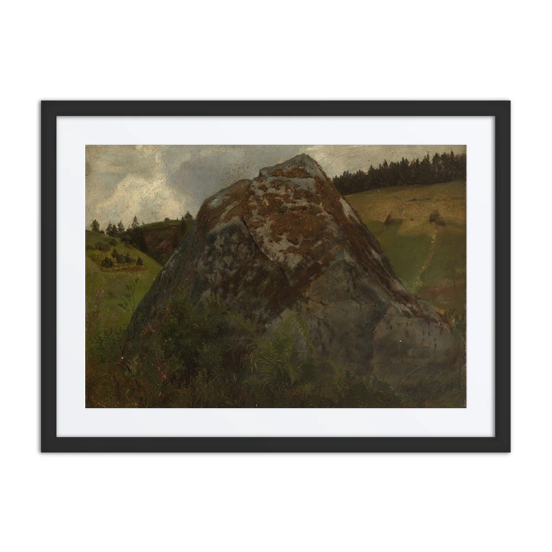 Boulder in a Meadow Valley
