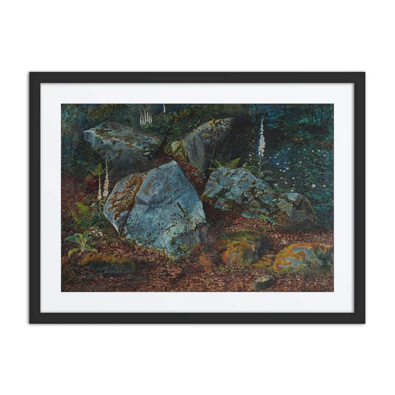 Boulders in Storsforth Wood