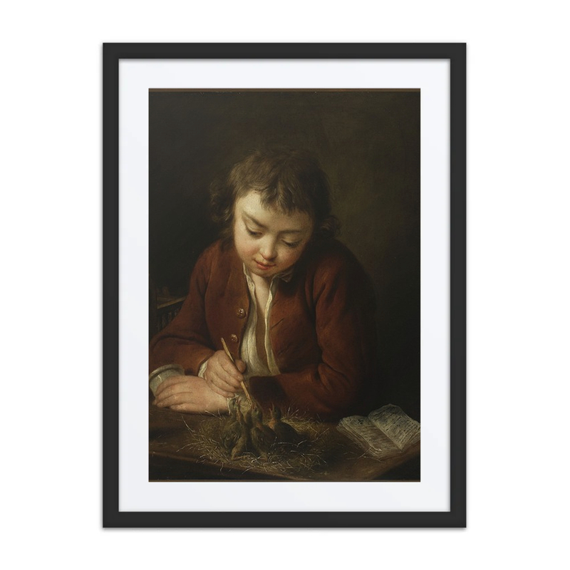 Boy Feeding Chicks