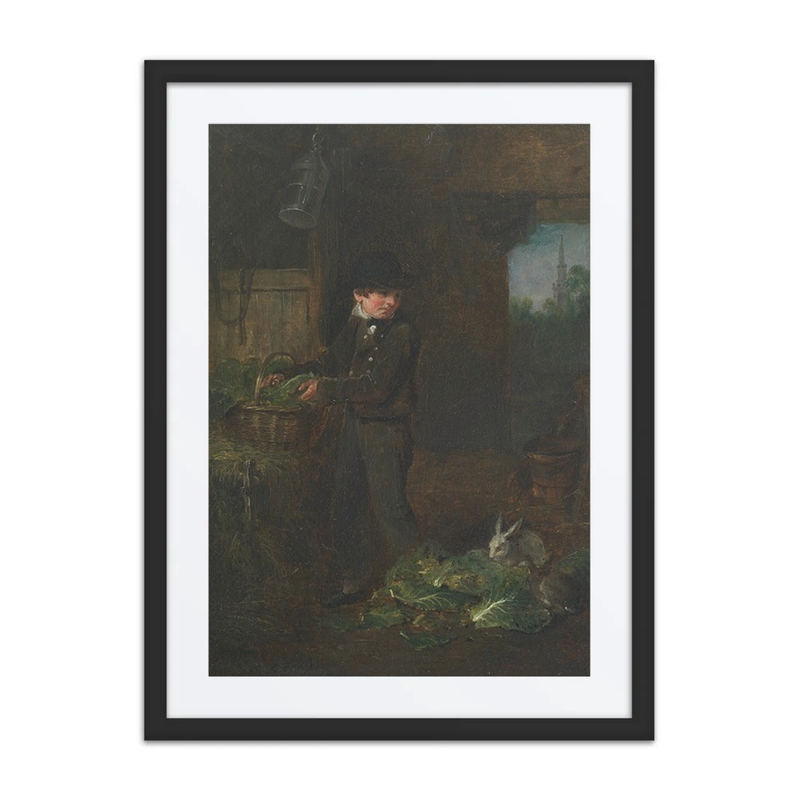 Boy Feeding Rabbits