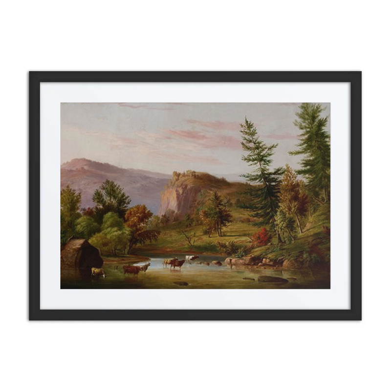 Brook in Summer