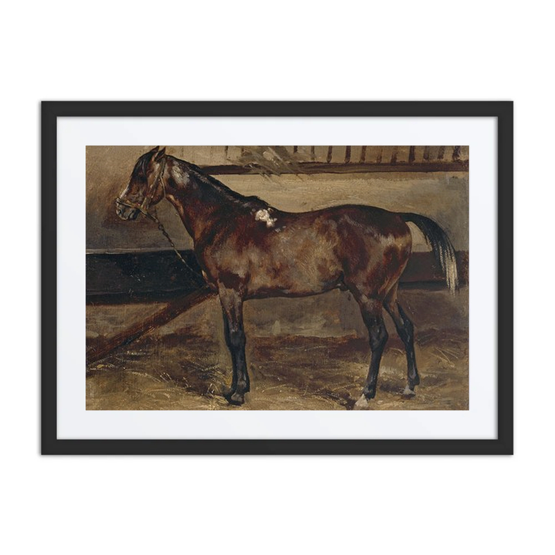 Brown Horse in a Stable