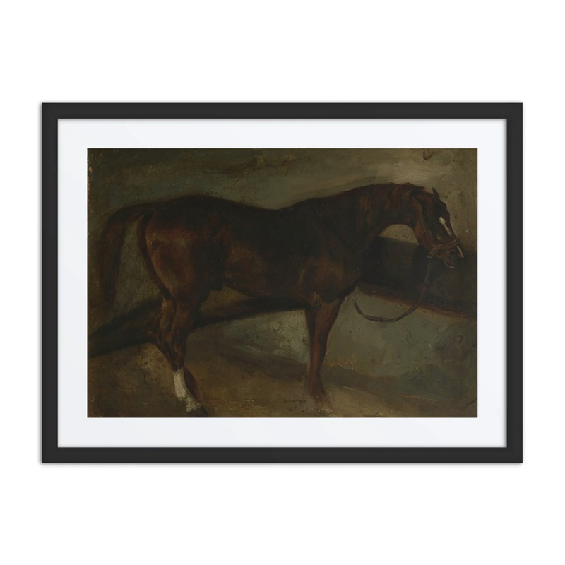 Brown Horse