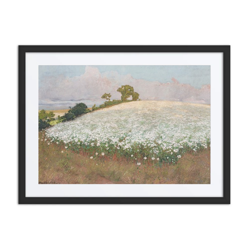 Buckwheat Field I