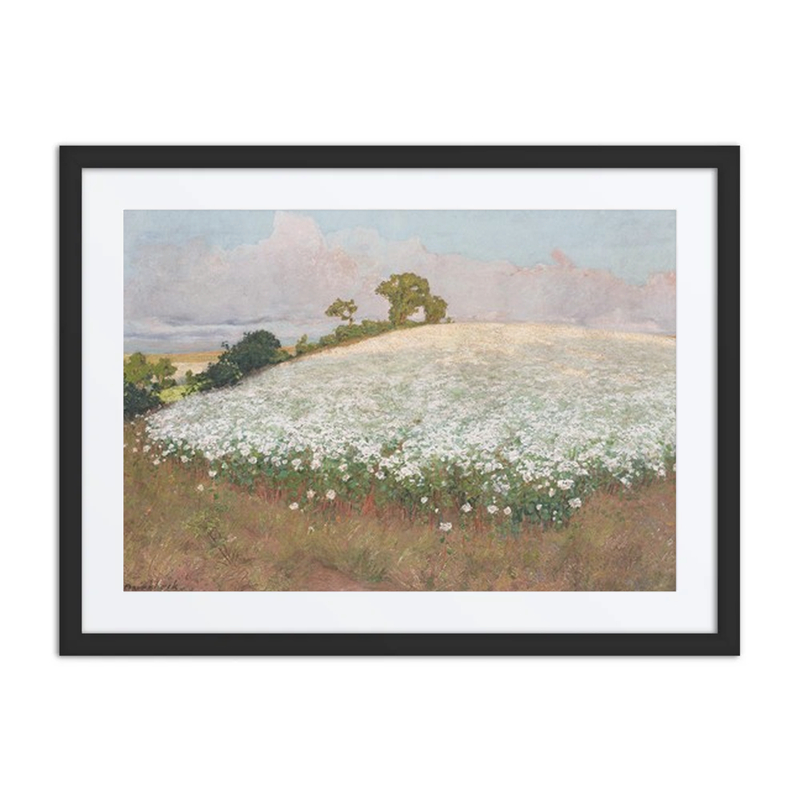 Buckwheat Field I