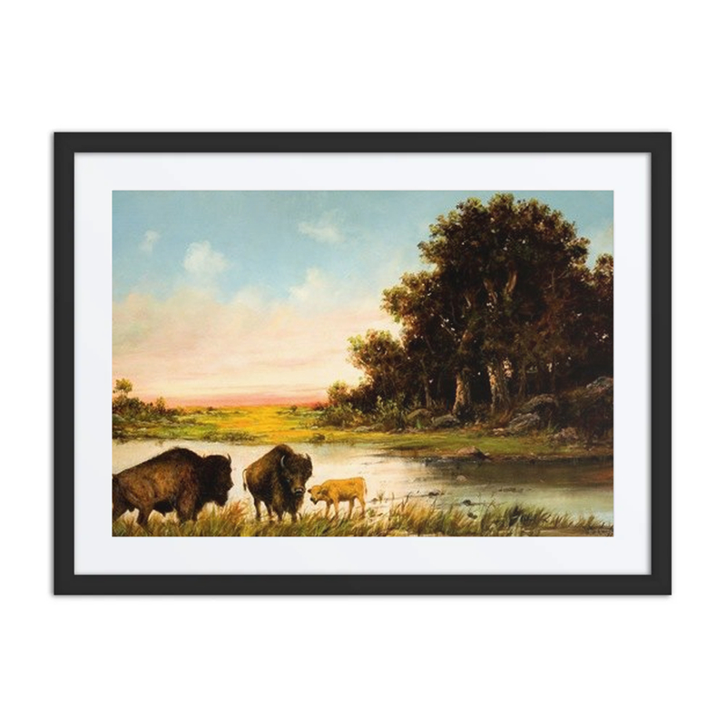 Buffalo by the River