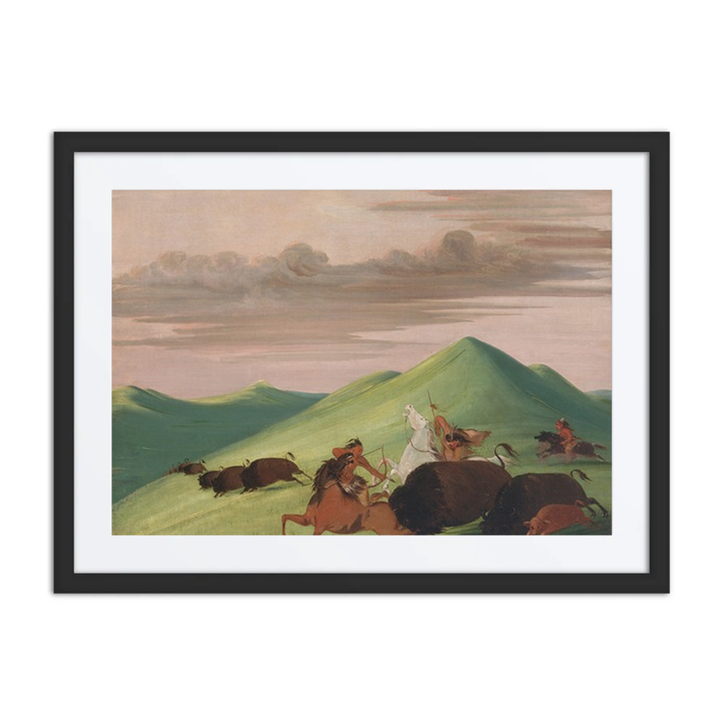 Buffalo Chase, Bull Protecting a Cow and Calf