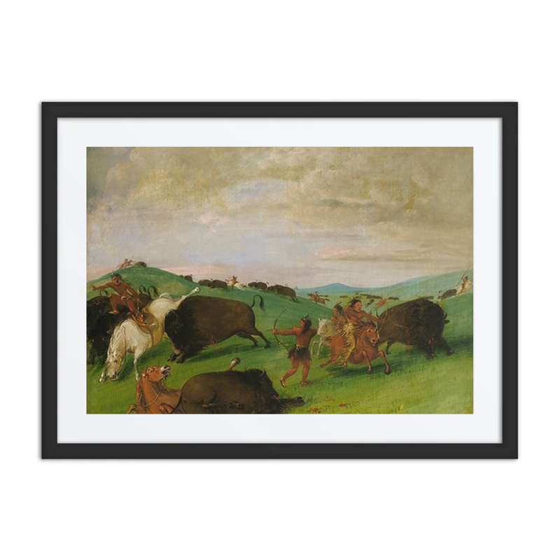 Buffalo Chase, Bulls Making Battle with Men and Horses