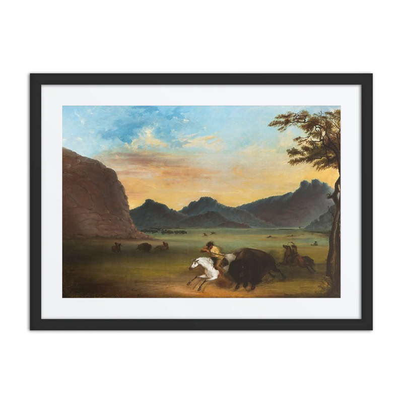 Buffalo Hunt