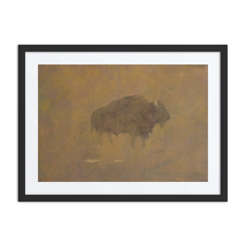 Buffalo in a Sandstorm