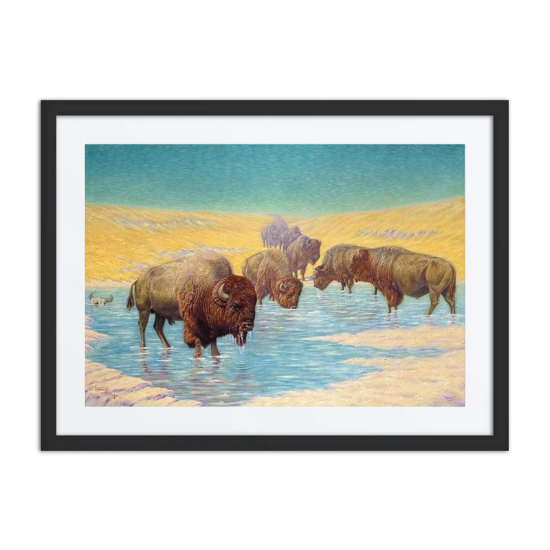 Buffalo Scene