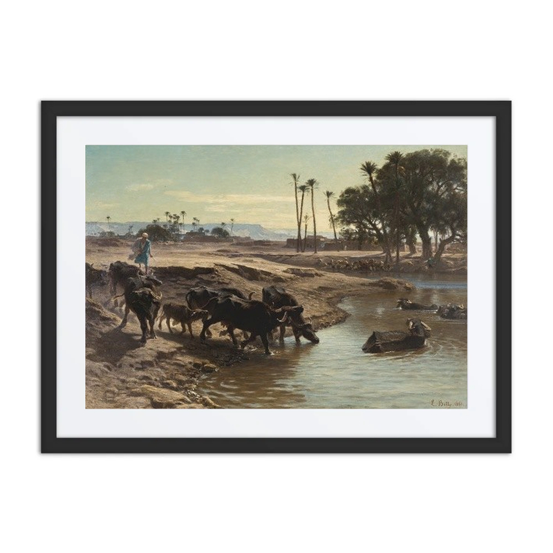 Buffaloes Bathing in the Nile
