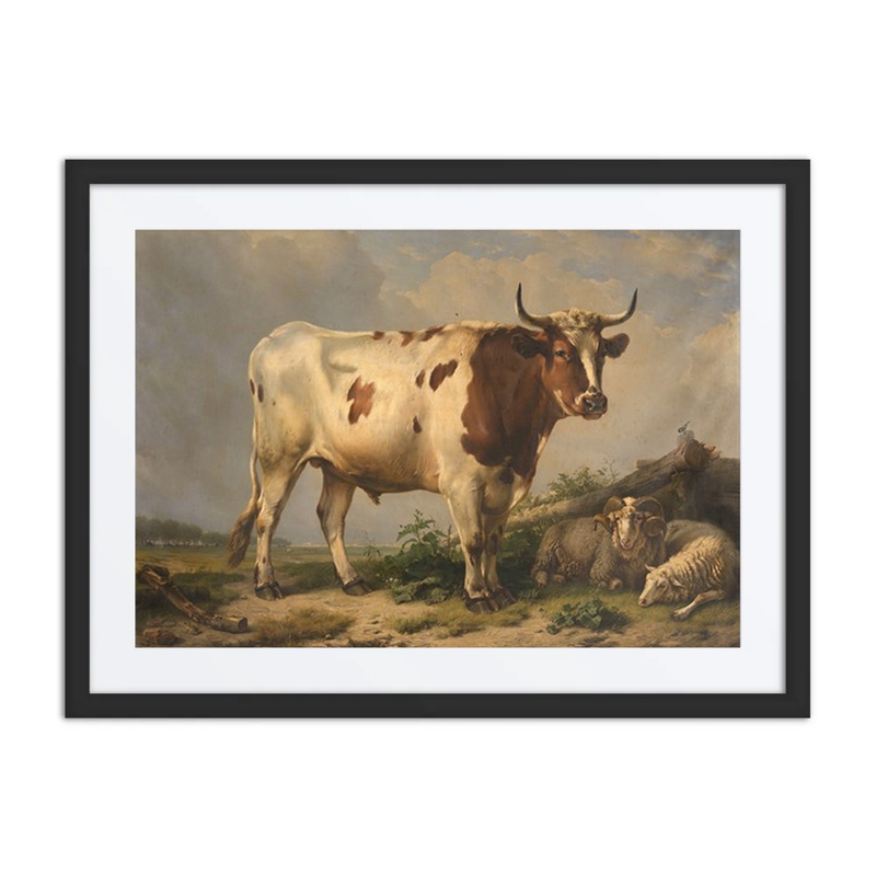 Bull and Sheep
