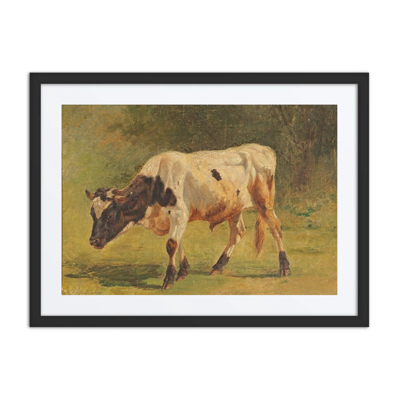 Bull