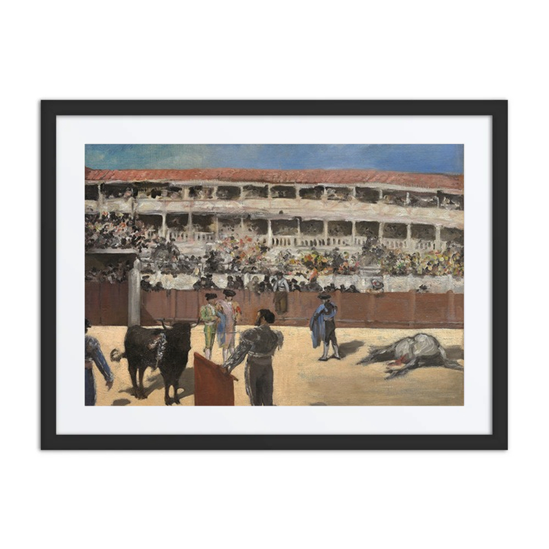 Bullfight