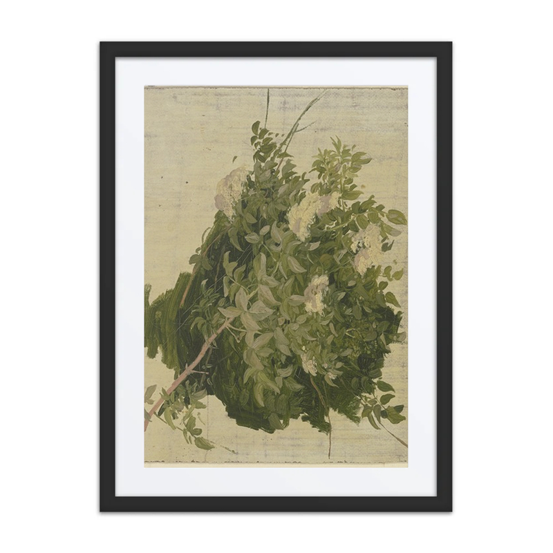 Bush with White Blossoms