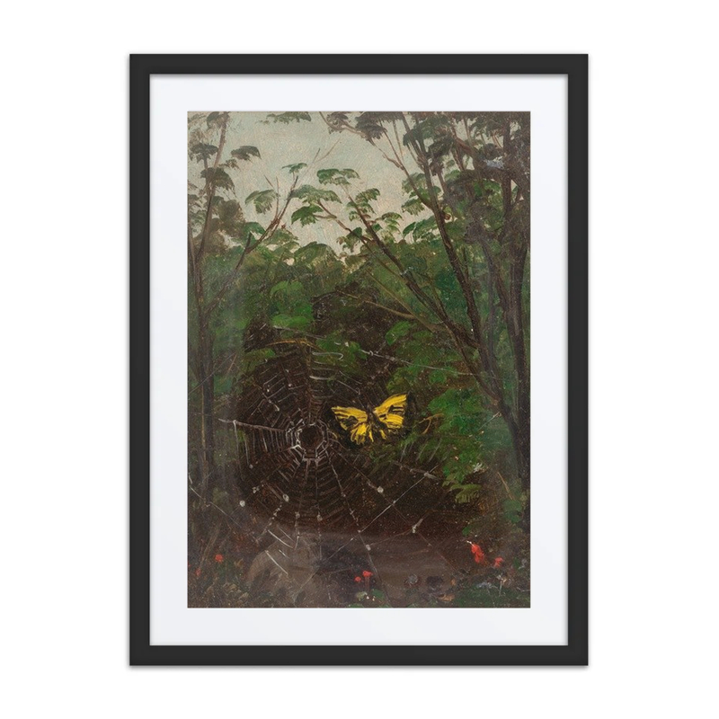 Butterfly in a Spiderweb