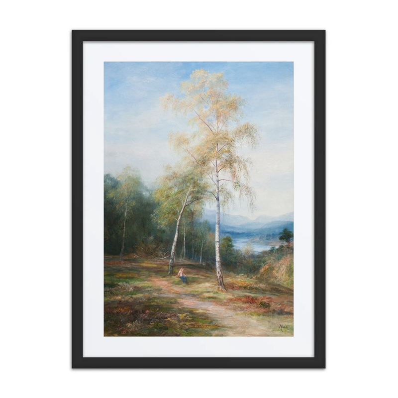 By a Silver Birch