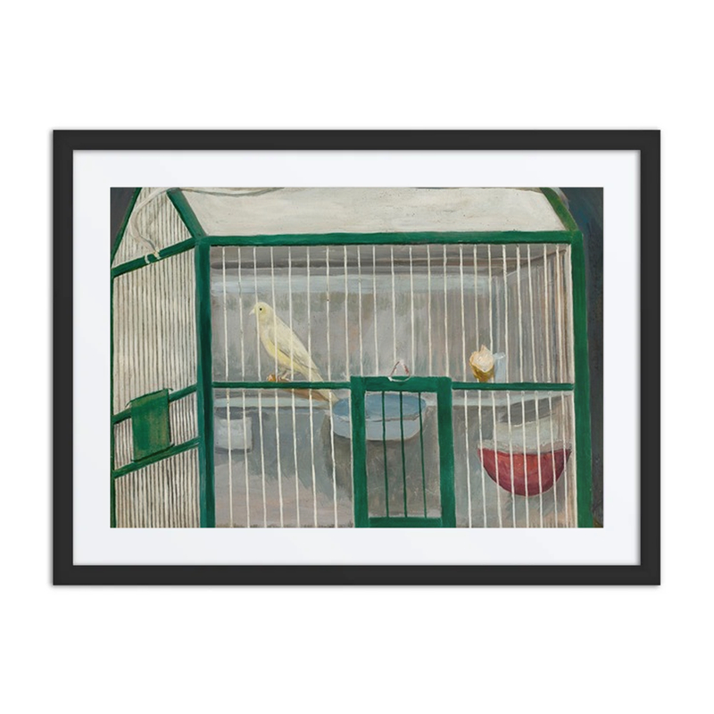 Cage with a Canary