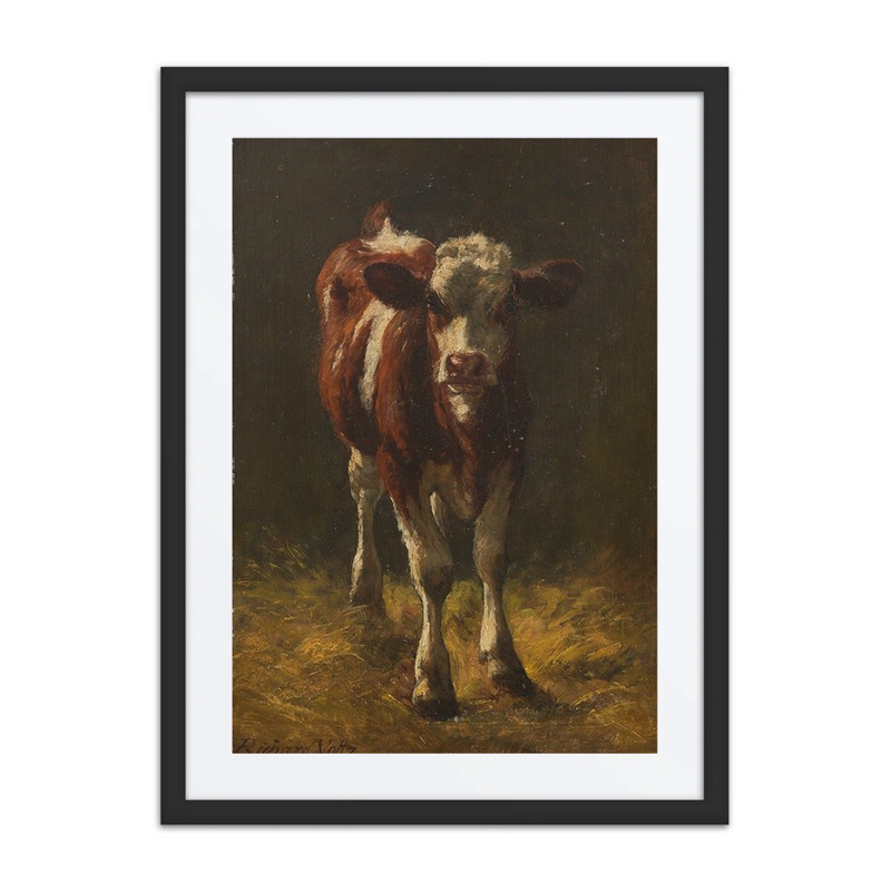 Calf in the Stable
