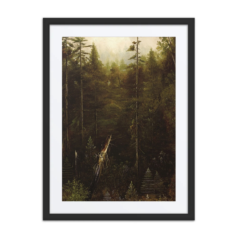 California Landscape