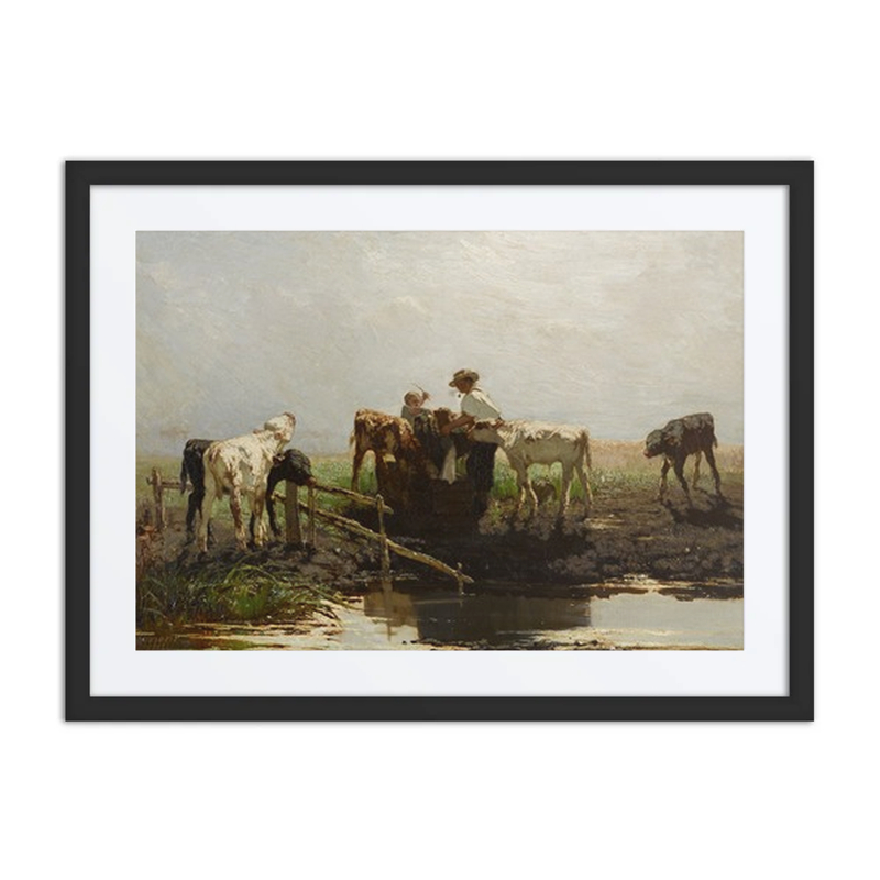 Calves at a Trough