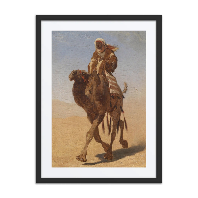 Camel Rider