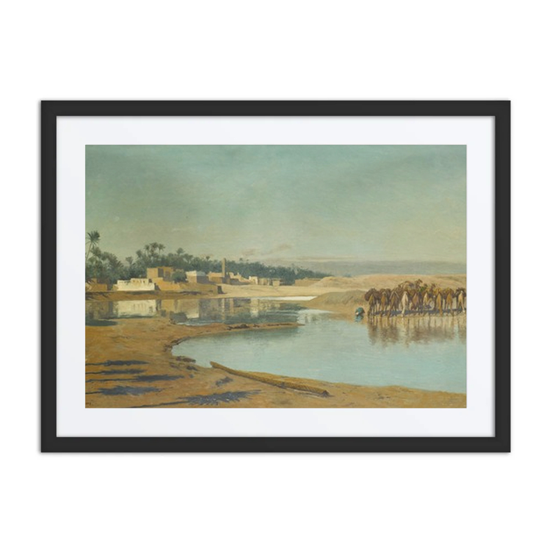 Camels Watering in the Desert