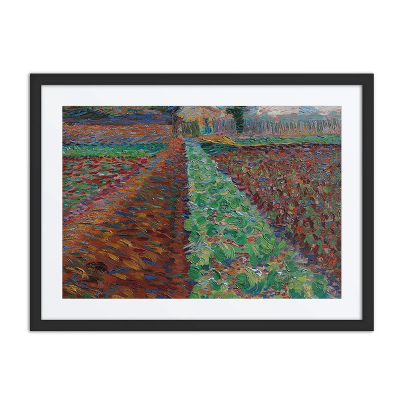 Campo Con Alberi