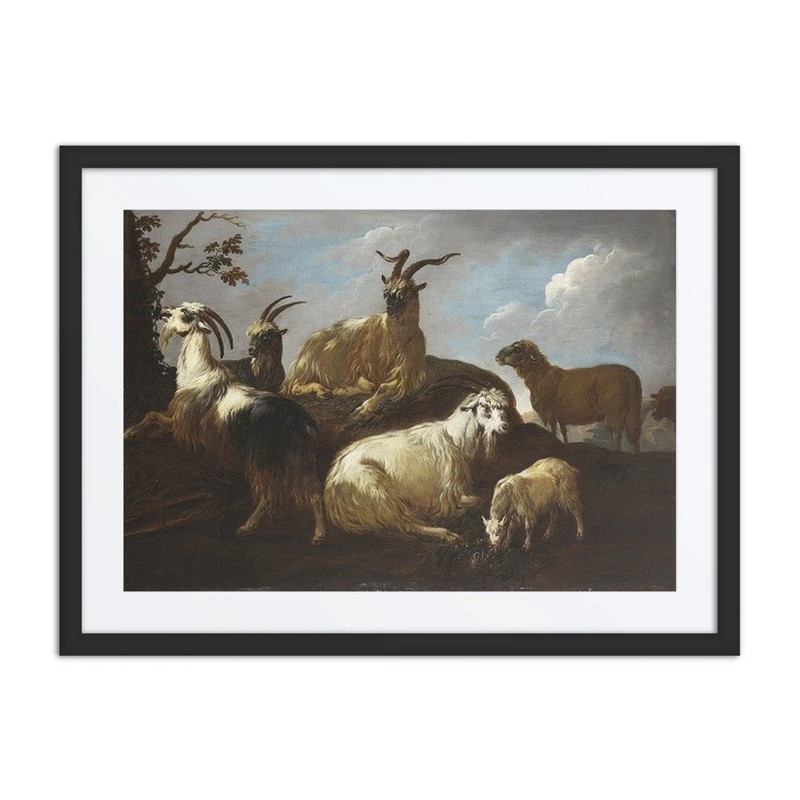 Capre E Pecore in un Paesaggio