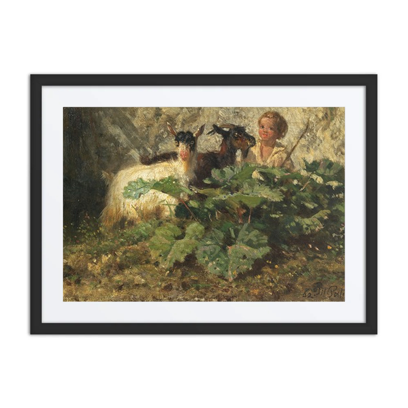 Caprette Con Pastorello