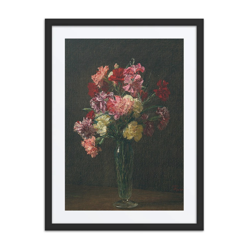 Carnations