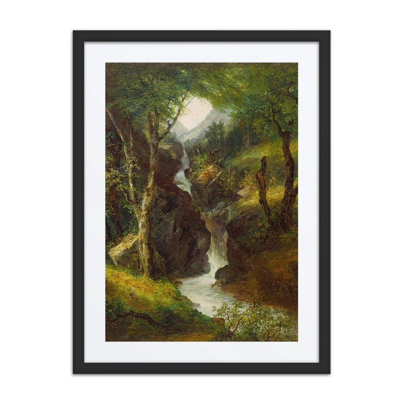 Cascade in the Forest