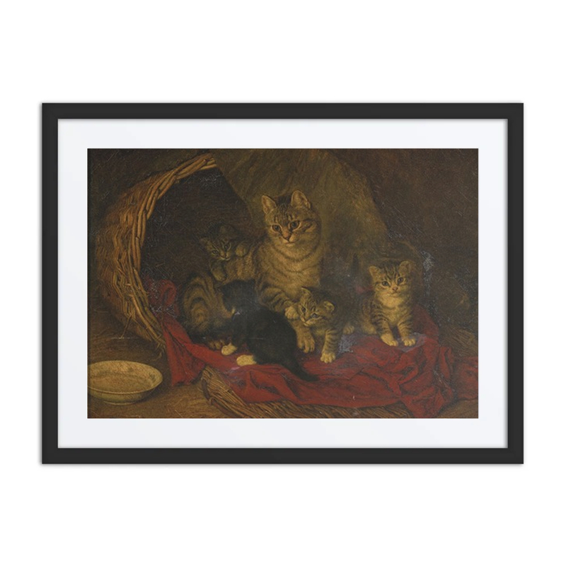 Cat and Kittens
