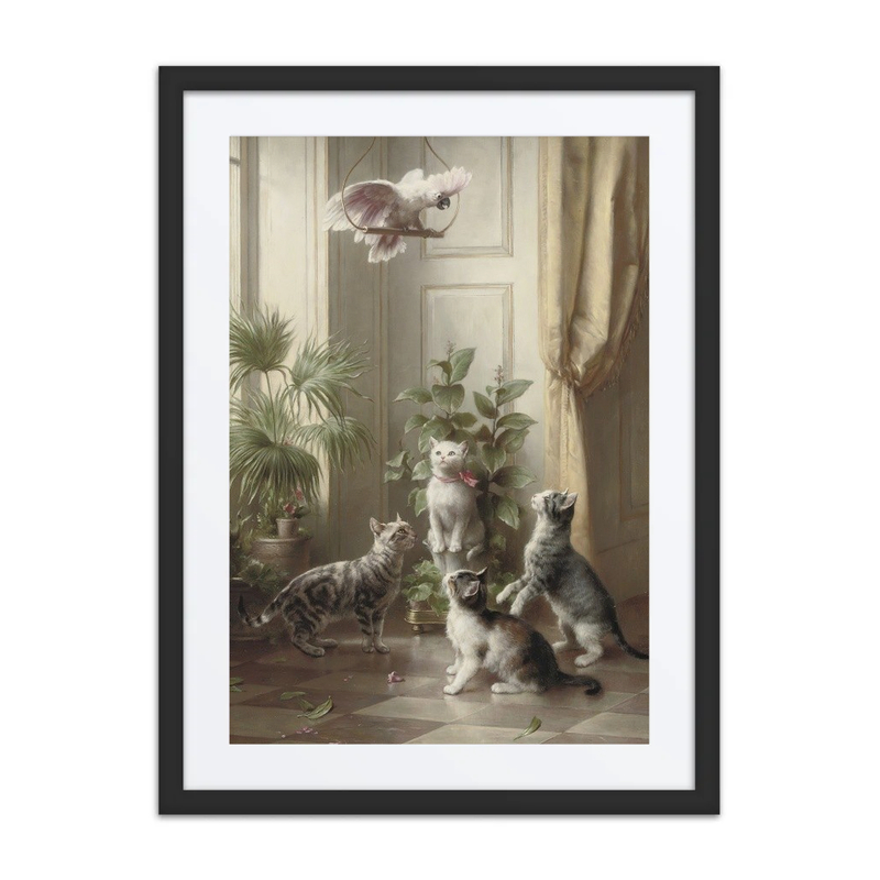 Cats and the Cockatoo