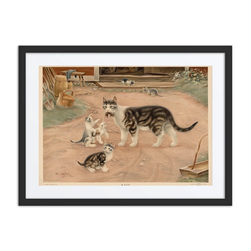 Cats