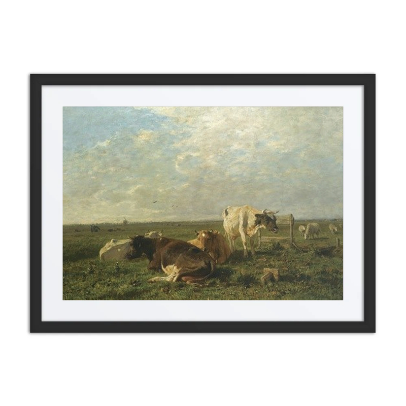 Cattle at Pasture