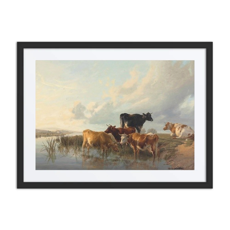 Cattle by a River