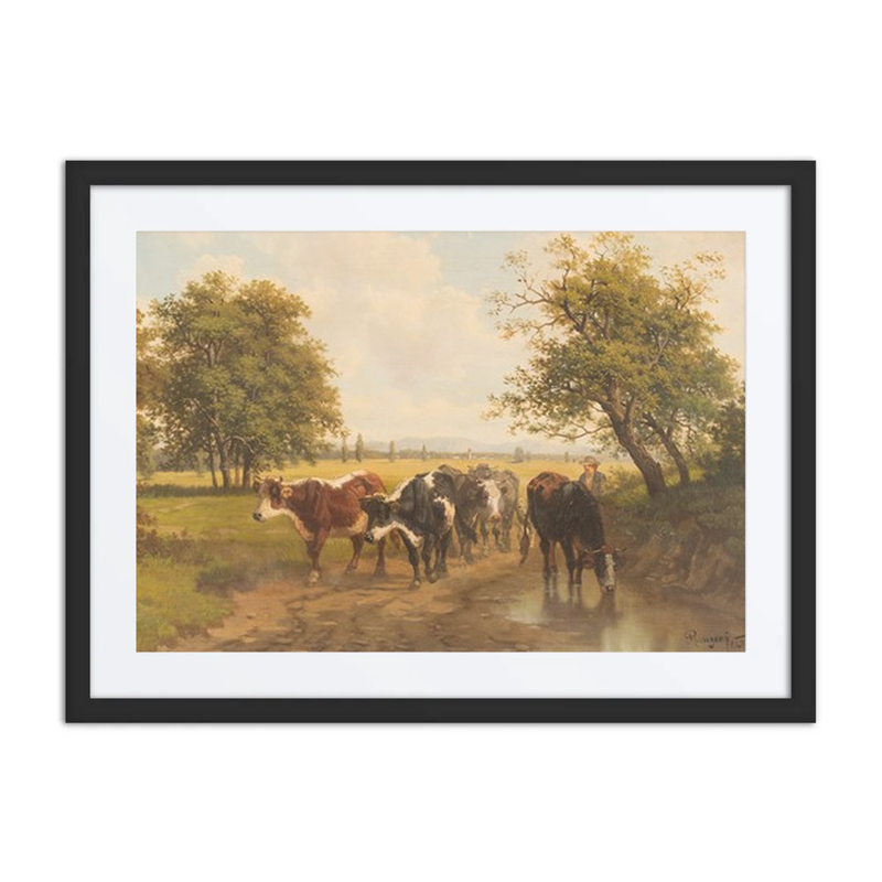 Cattle by a Stream