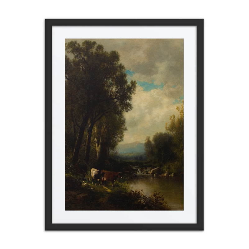 Cattle by the River
