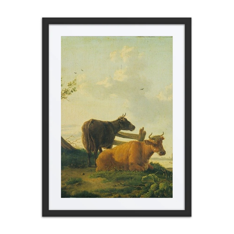 Cattle