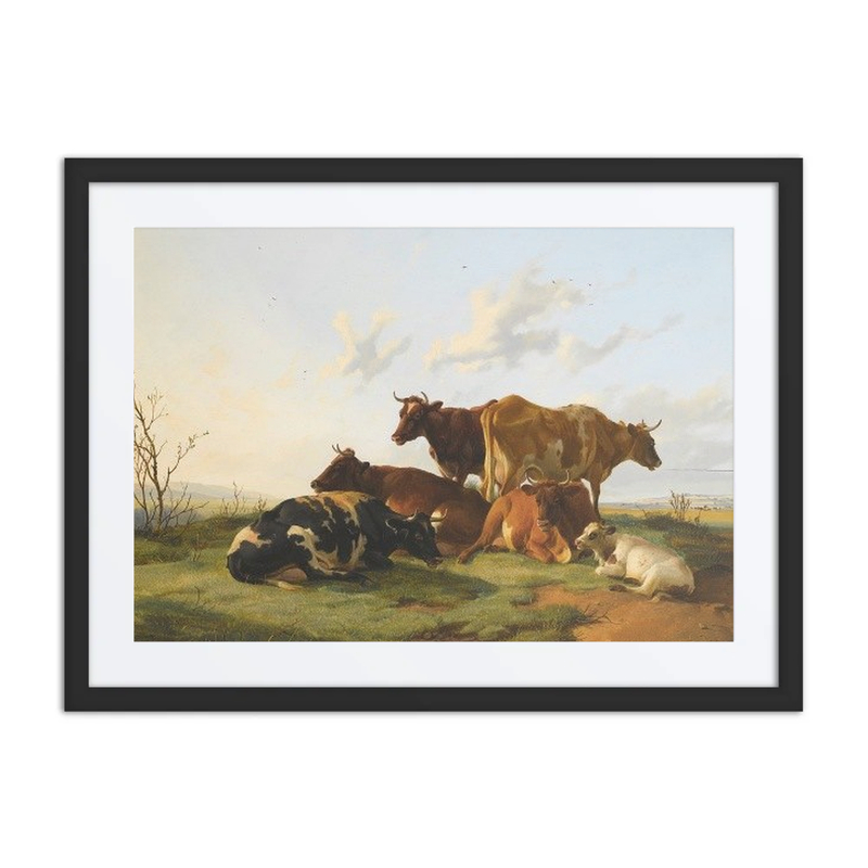 Cattle Grazing