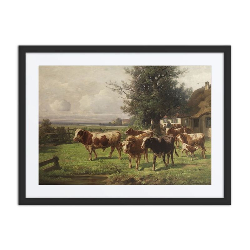 Cattle Herd Near Dachau