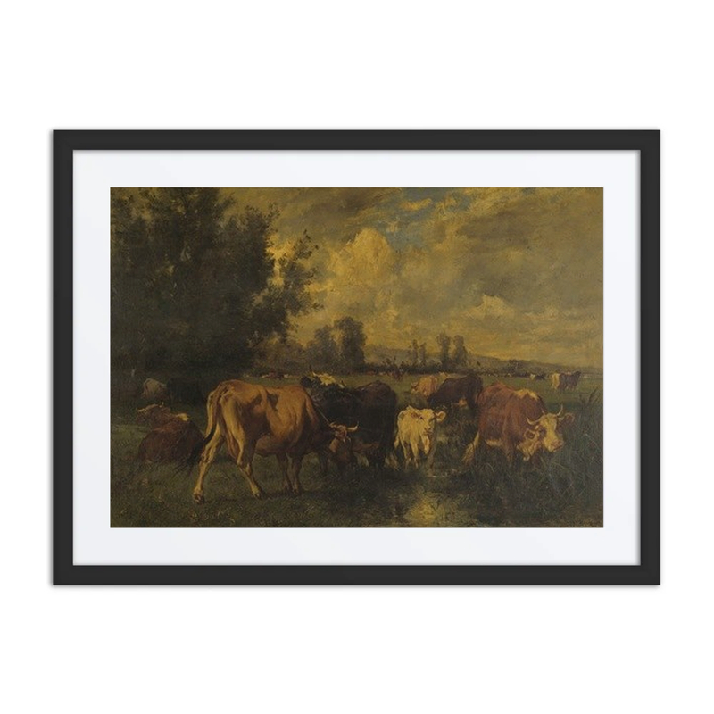 Cattle in a Field