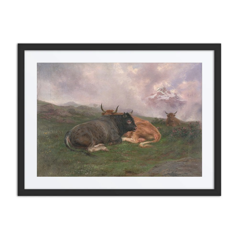 Cattle Resting on an Alpine Hillside