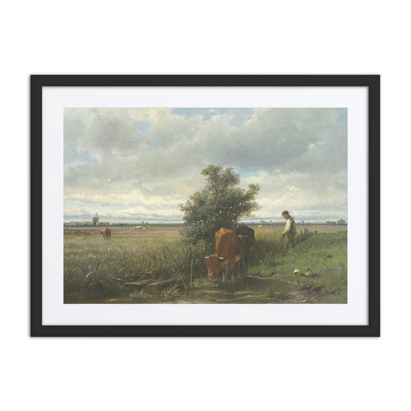 Cattle Watering