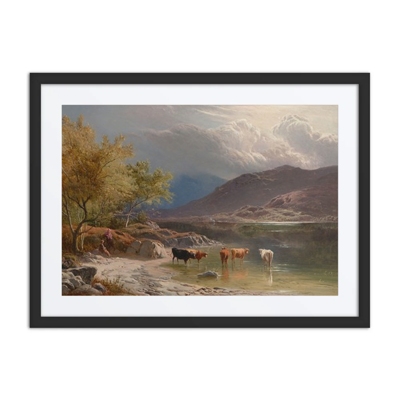 Cattle Watering by a Loch