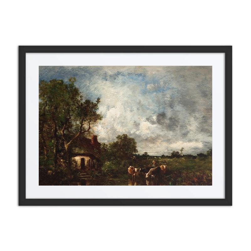 Cattle Watering