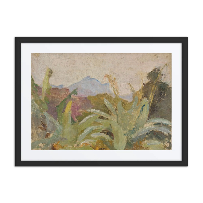 Ceylon, adam’s Peak Landscape